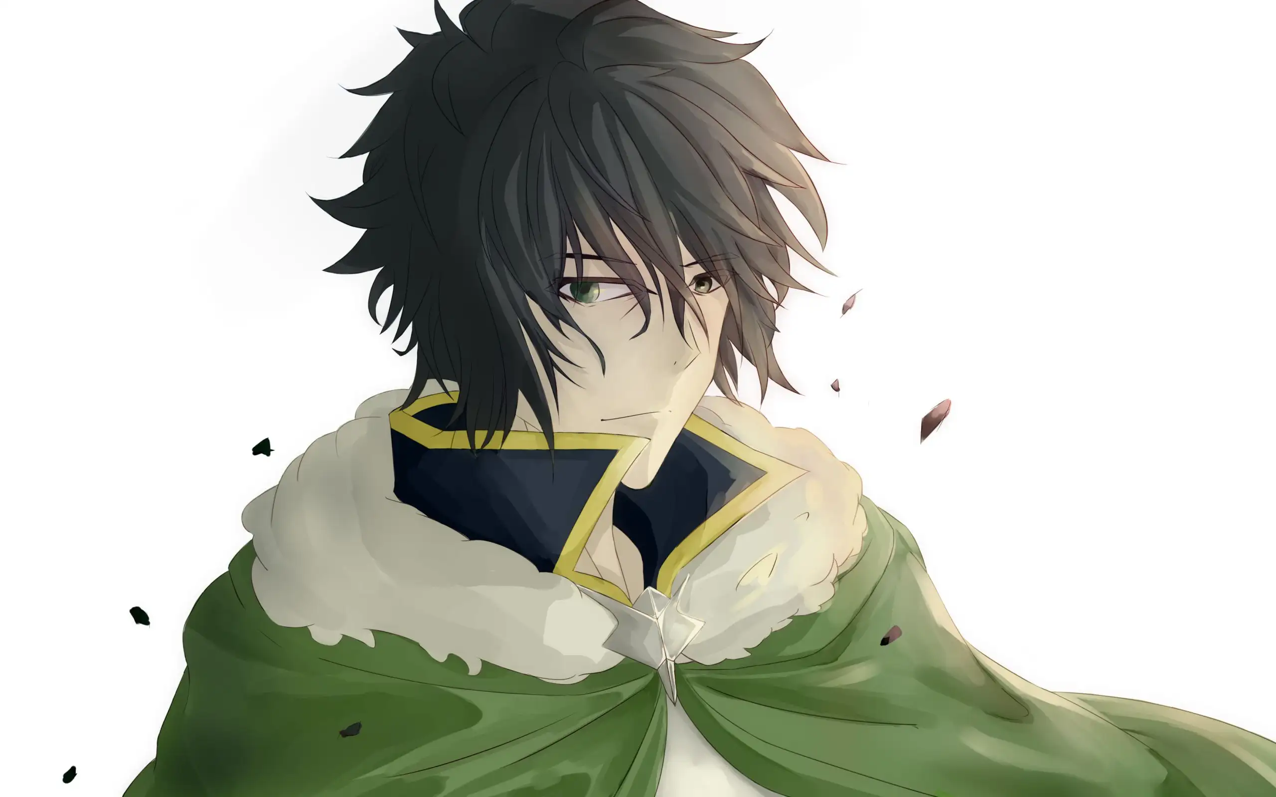 Naofumi Iwatani from The Rising of the Shield Hero